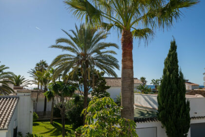 6b75955c51ac94fc58aaf5fd55178152 - 46