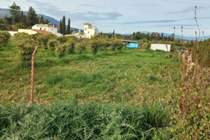 6d9d71b8a4ca5345c027db8c86c9b29e - 1