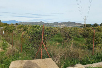 6d9d71b8a4ca5345c027db8c86c9b29e - 10