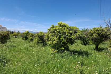 6d9d71b8a4ca5345c027db8c86c9b29e - 11