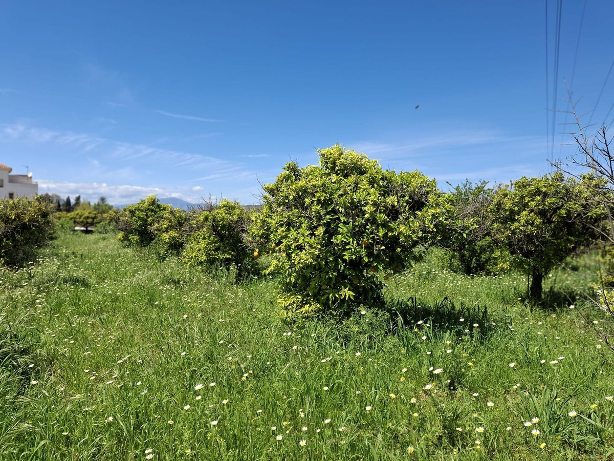 6d9d71b8a4ca5345c027db8c86c9b29e - 11