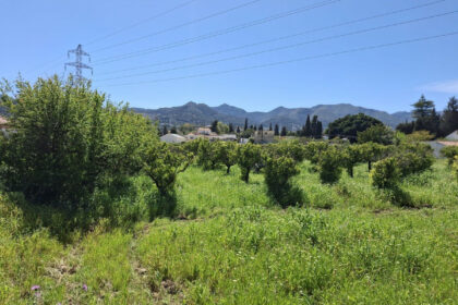 6d9d71b8a4ca5345c027db8c86c9b29e - 12