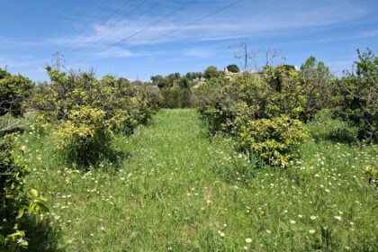 6d9d71b8a4ca5345c027db8c86c9b29e - 14