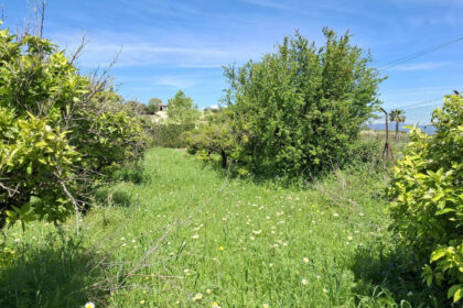 6d9d71b8a4ca5345c027db8c86c9b29e - 15