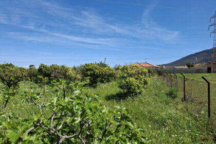 6d9d71b8a4ca5345c027db8c86c9b29e - 16