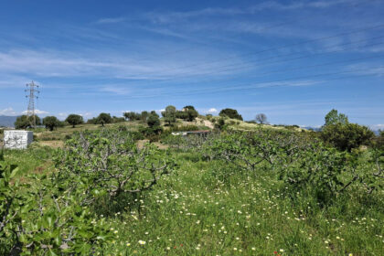 6d9d71b8a4ca5345c027db8c86c9b29e - 17