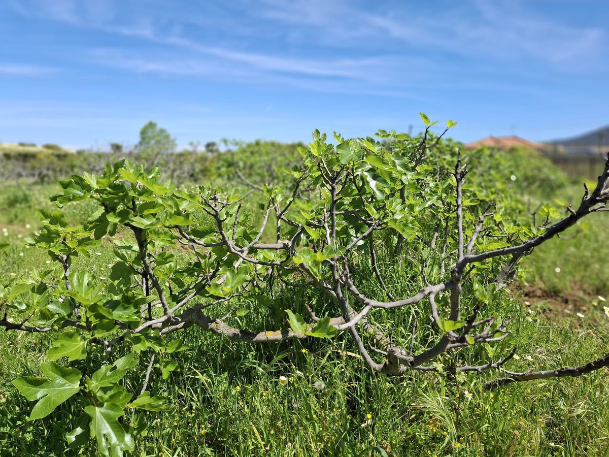 6d9d71b8a4ca5345c027db8c86c9b29e - 2