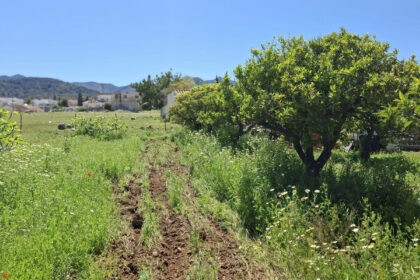 6d9d71b8a4ca5345c027db8c86c9b29e - 4