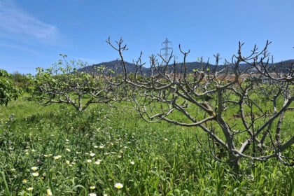 6d9d71b8a4ca5345c027db8c86c9b29e - 5