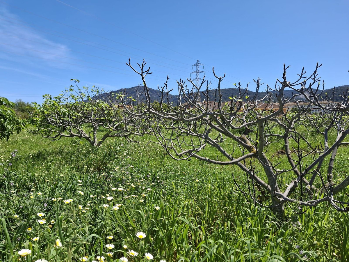 6d9d71b8a4ca5345c027db8c86c9b29e - 5