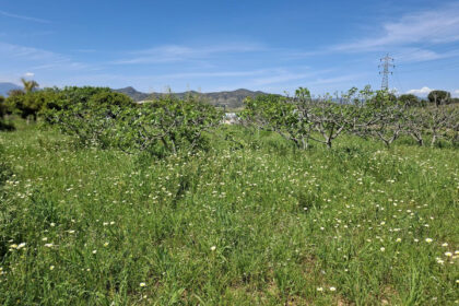 6d9d71b8a4ca5345c027db8c86c9b29e - 6