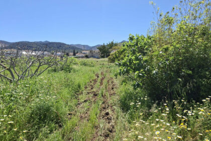 6d9d71b8a4ca5345c027db8c86c9b29e - 7