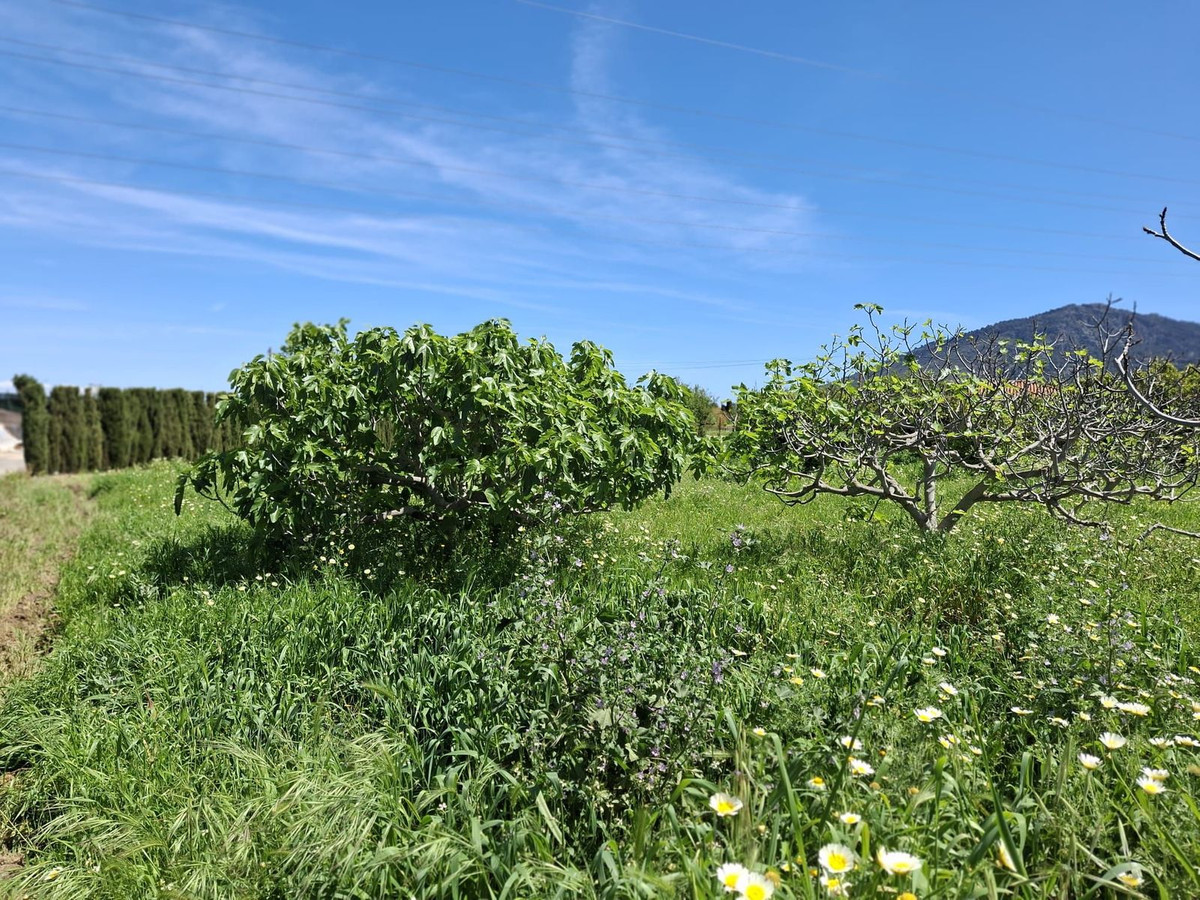 6d9d71b8a4ca5345c027db8c86c9b29e - 8