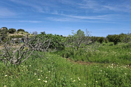 6d9d71b8a4ca5345c027db8c86c9b29e - 9