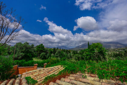 6e3d317b61dd4488da54fd123c2600b3 - 4