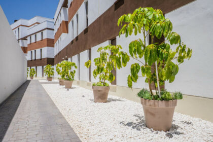 71012d9592c5c5b8e823880f0d225528 - 28