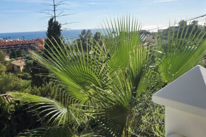 712398026049f37536ae52fb0ecdc3ab - 29