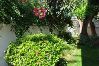 72c996c1301e42623008376df7999e80 - 27