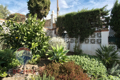 7419d8177eeeaa28559bafb06ce29c4a - 33