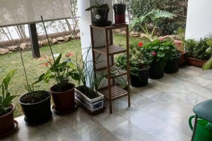 764ddbbfa553f47a9ffd90ddee098785 - 11