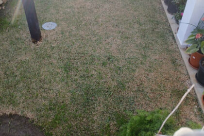 764ddbbfa553f47a9ffd90ddee098785 - 7