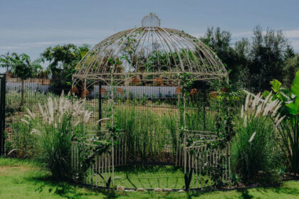 78190483ff1e67f3a99b81f6fea5dbdd - 9