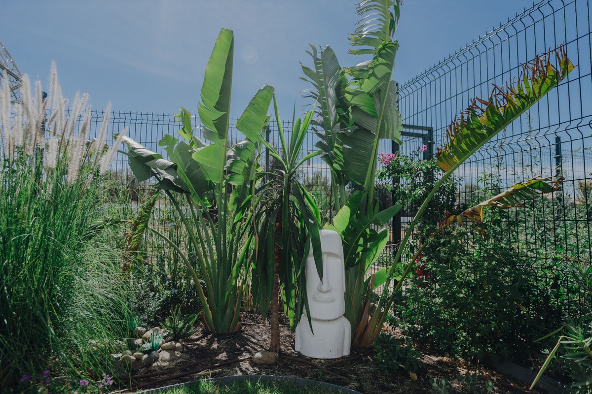 783459b5841da1d94f251d579b3d00f4 - 6