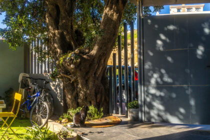 796eee9e055d8af660adc51c3646449a - 48