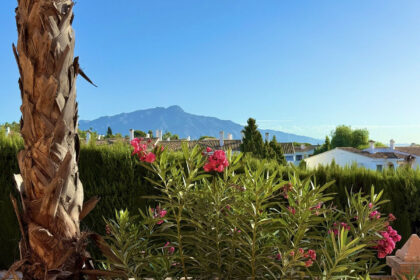 7a278640b4f49daa09a5b1313394a514 - 2