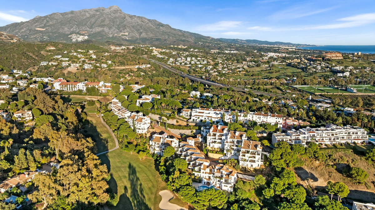 7b93037a015cd5818c4b92019266bd6d - 57