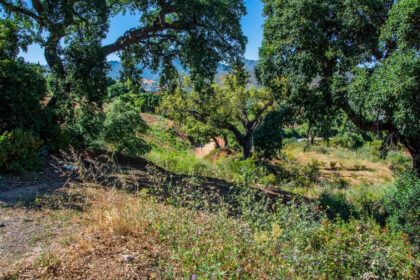 80c0c63340d6fad1e9eea1c77cbb7c0e - 2