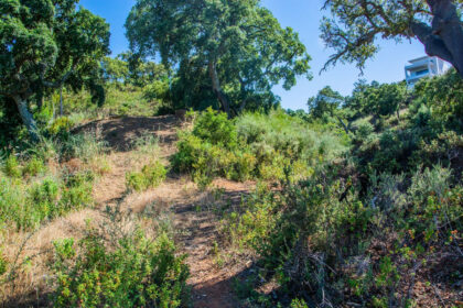 80c0c63340d6fad1e9eea1c77cbb7c0e - 5