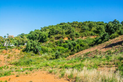 80c0c63340d6fad1e9eea1c77cbb7c0e - 6