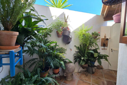 825d4258a5b9f30247e0bbabf480b9a5 - 8