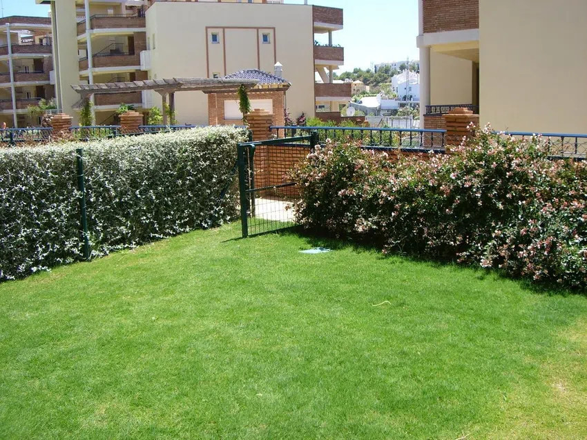 85c072be747090bc15f9c6e5e5b01b59 - 5