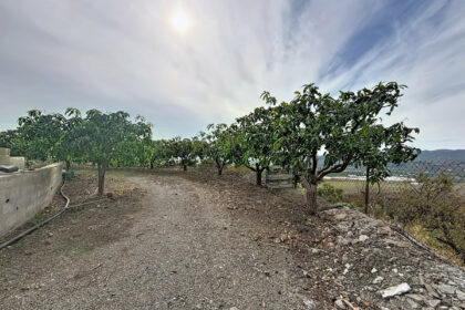 8ac91d95f151323fcc8178b3e3122fc2 - 41