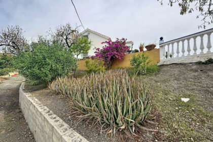 8ac91d95f151323fcc8178b3e3122fc2 - 42