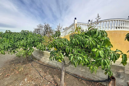 8ac91d95f151323fcc8178b3e3122fc2 - 43