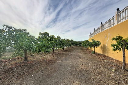 8ac91d95f151323fcc8178b3e3122fc2 - 47