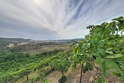 8ac91d95f151323fcc8178b3e3122fc2 - 48