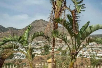 8c53f51c562a7238449c42bce3359a62 - 4