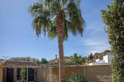 8c53f51c562a7238449c42bce3359a62 - 48