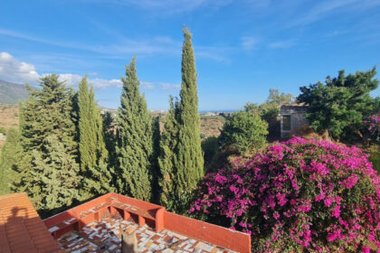 8cae0fabe793b2c117791610d0cf7d7d - 3