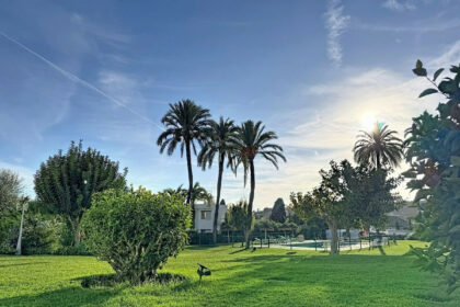 8ee4b024ab5607c8365c2f3ab3d5bf33 - 16