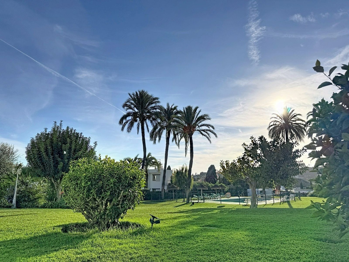 8ee4b024ab5607c8365c2f3ab3d5bf33 - 16