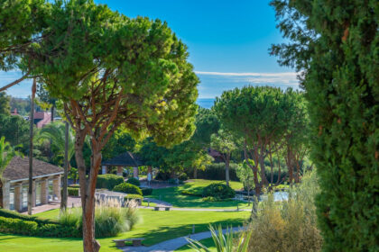 90a64dc1c8f08277786392224fe80816 - 30