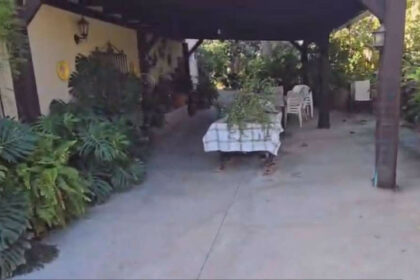 92712ed7aaef6828cb1797f9f1e97a04 - 2