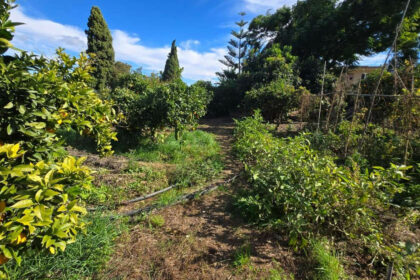 92712ed7aaef6828cb1797f9f1e97a04 - 36