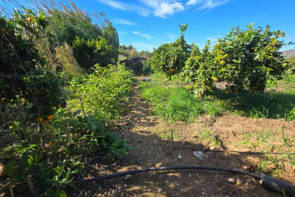 92712ed7aaef6828cb1797f9f1e97a04 - 37