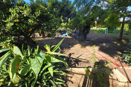 92712ed7aaef6828cb1797f9f1e97a04 - 38